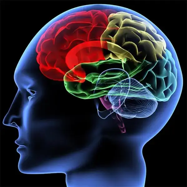 How Science Failed to Unlock The Mysteries of the Human Brain? 1 How Science Failed to Unlock The Mysteries of the Human Brain