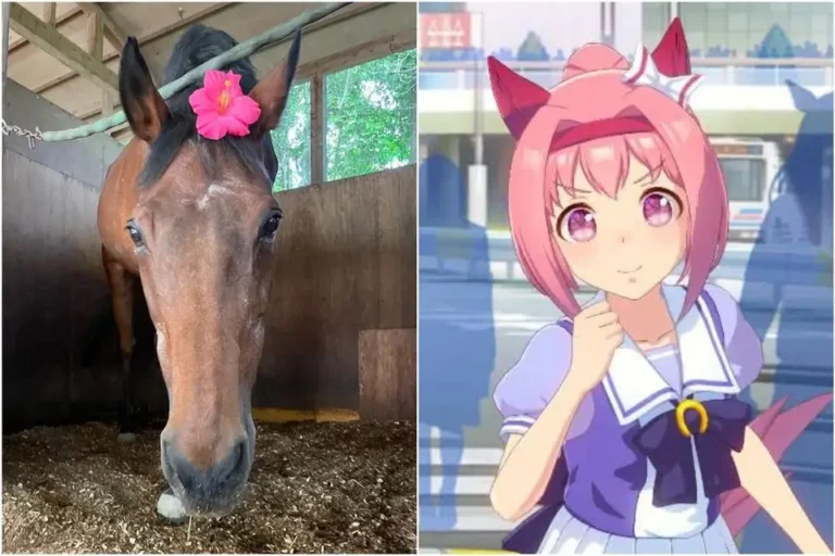 Haru Urara Death Iconic Horse Legacy Uncovered